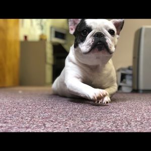 Meet your Posher, Christy